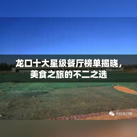 龙口十大星级餐厅榜单揭晓，美食之旅的不二之选
