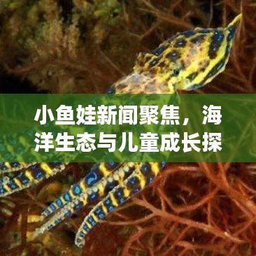 小鱼娃新闻聚焦,海洋生态与儿童成长探索