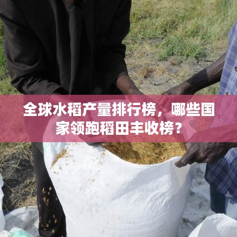 全球水稻产量排行榜，哪些国家领跑稻田丰收榜？