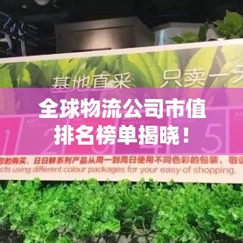 全球物流公司市值排名榜单揭晓！