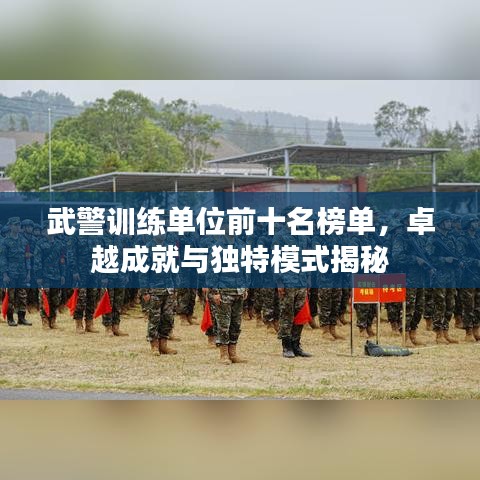 武警训练单位前十名榜单，卓越成就与独特模式揭秘