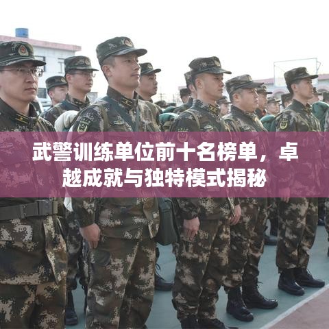 武警训练单位前十名榜单,卓越成就与独特模式揭秘