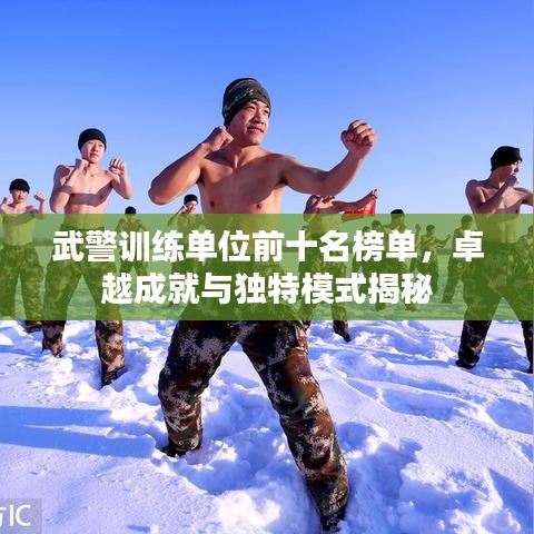 武警训练单位前十名榜单,卓越成就与独特模式揭秘