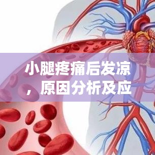 小腿疼痛后发凉，原因分析及应对方法