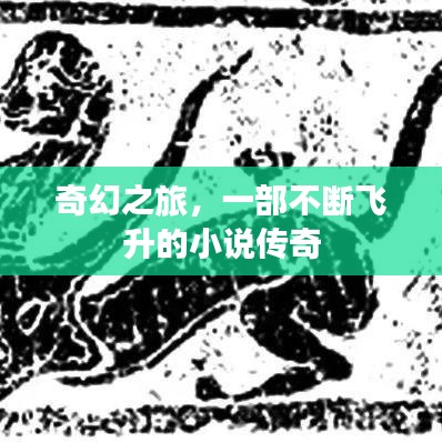 奇幻之旅，一部不断飞升的小说传奇