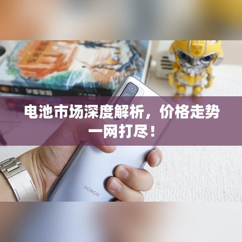 电池市场深度解析，价格走势一网打尽！