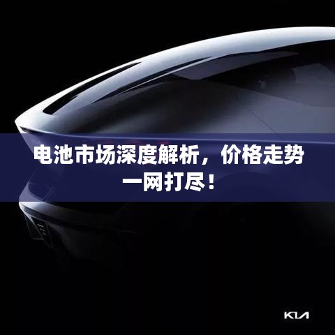 电池市场深度解析,价格走势一网打尽!
