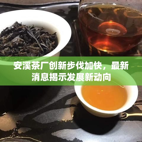 安溪茶厂创新步伐加快，最新消息揭示发展新动向