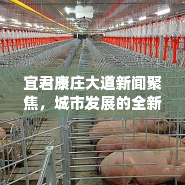 宜君康庄大道新闻聚焦，城市发展的全新篇章