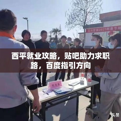 西平就业攻略，贴吧助力求职路，百度指引方向