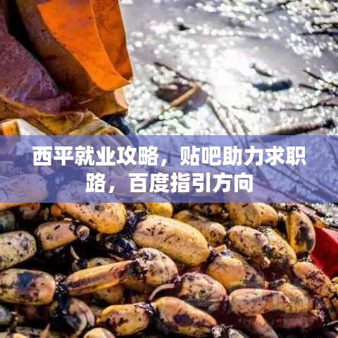 西平就业攻略,贴吧助力求职路,百度指引方向