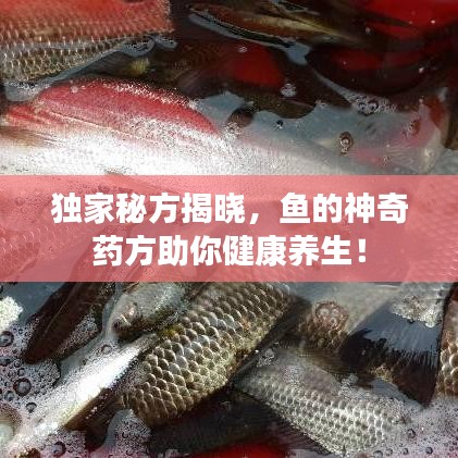 熊经鸟申 第7页