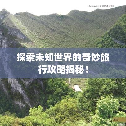探索未知世界的奇妙旅行攻略揭秘!