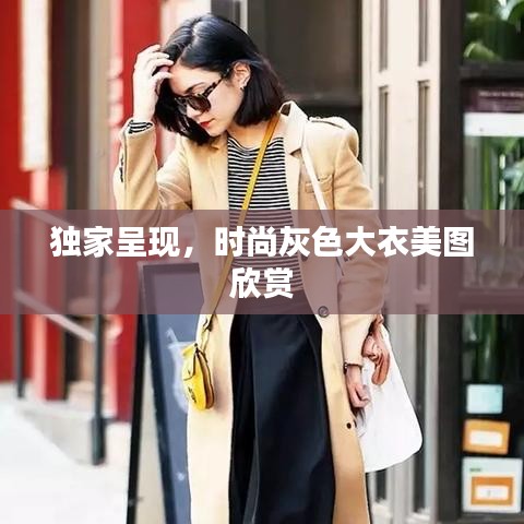 独家呈现，时尚灰色大衣美图欣赏