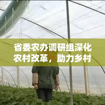 省委农办调研组深化农村改革,助力乡村振兴新篇章开启