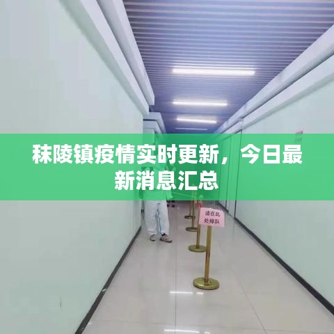 秣陵镇疫情实时更新,今日最新消息汇总