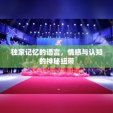 独家记忆的语言，情感与认知的神秘纽带