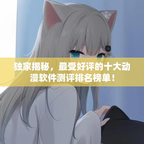 独家揭秘，最受好评的十大动漫软件测评排名榜单！