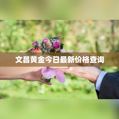 文昌黄金今日最新价格查询