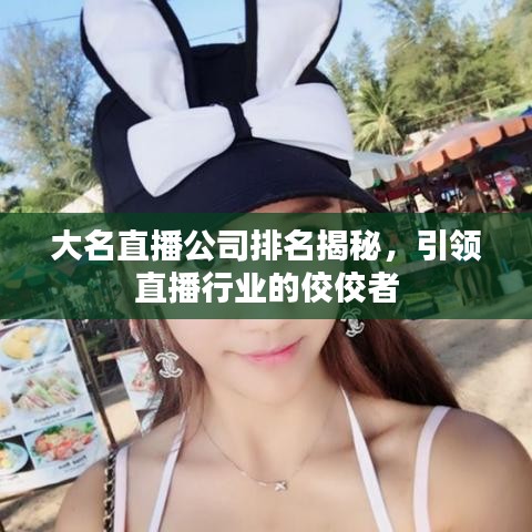 大名直播公司排名揭秘,引领直播行业的佼佼者