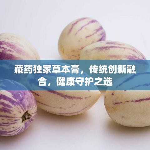 藏药独家草本膏,传统创新融合,健康守护之选