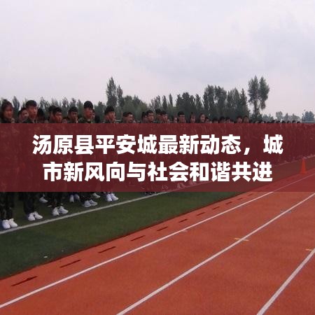 汤原县平安城最新动态，城市新风向与社会和谐共进