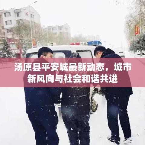 汤原县平安城最新动态,城市新风向与社会和谐共进
