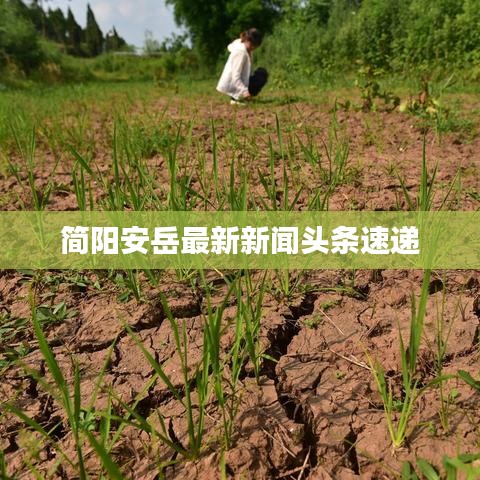 简阳安岳最新新闻头条速递