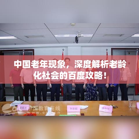 中国老年现象，深度解析老龄化社会的百度攻略！