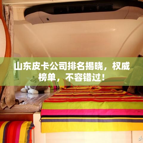 山东皮卡公司排名揭晓，权威榜单，不容错过！