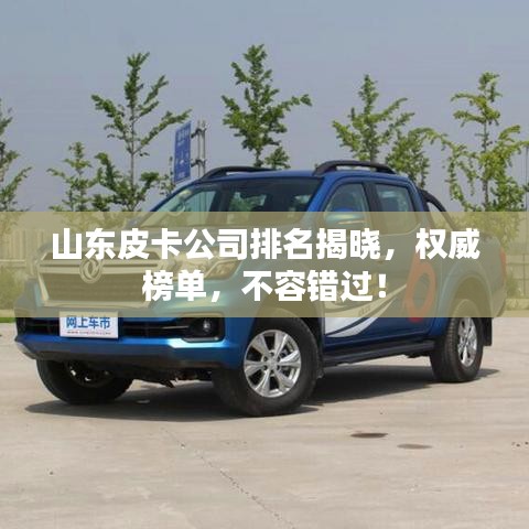 山东皮卡公司排名揭晓,权威榜单,不容错过!