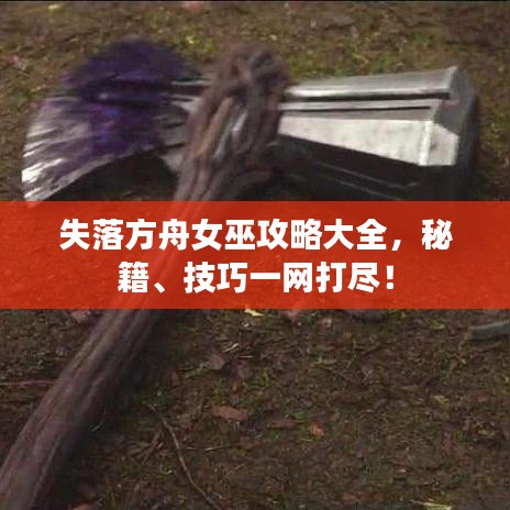 失落方舟女巫攻略大全，秘籍、技巧一网打尽！