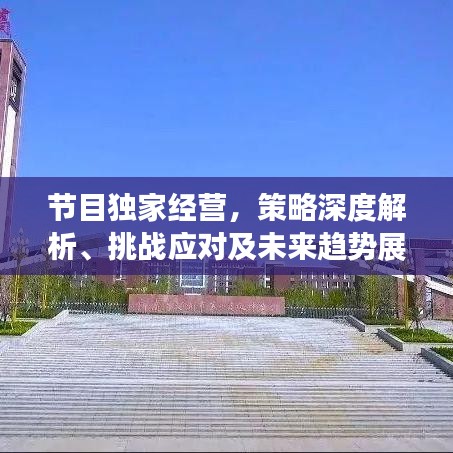 节目独家经营，策略深度解析、挑战应对及未来趋势展望