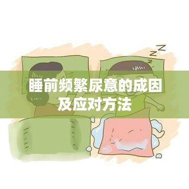 睡前频繁尿意的成因及应对方法