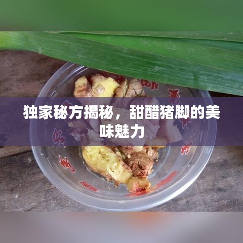 独家秘方揭秘，甜醋猪脚的美味魅力
