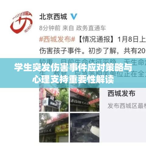 学生突发伤害事件应对策略与心理支持重要性解读