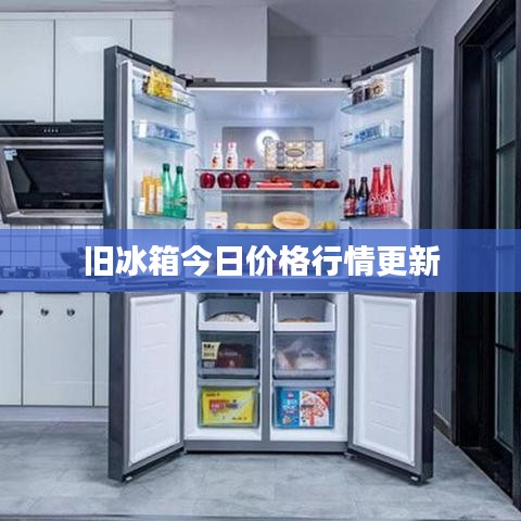 旧冰箱今日价格行情更新