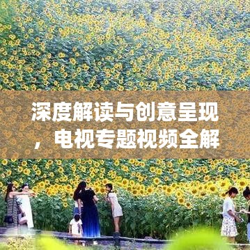 深度解读与创意呈现,电视专题视频全解析