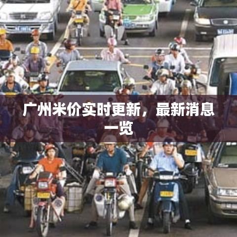 广州米价实时更新，最新消息一览