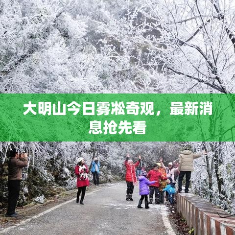 大明山今日雾凇奇观,最新消息抢先看