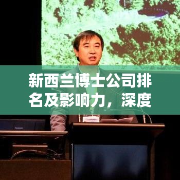 新西兰博士公司排名及影响力，深度解析教育领域的佼佼者
