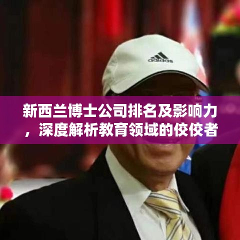 新西兰博士公司排名及影响力,深度解析教育领域的佼佼者