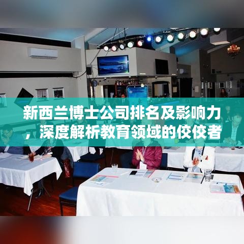 新西兰博士公司排名及影响力,深度解析教育领域的佼佼者