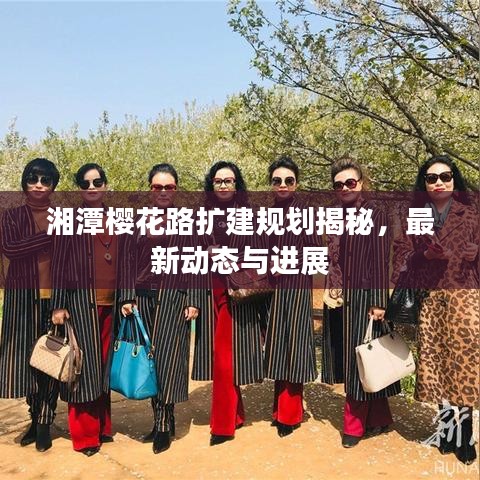 湘潭樱花路扩建规划揭秘,最新动态与进展