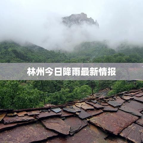 林州今日降雨最新情报