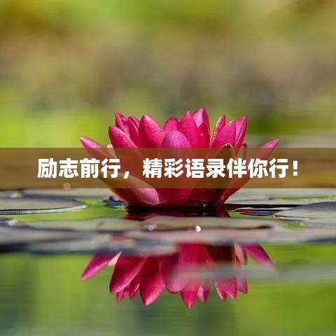 励志前行，精彩语录伴你行！