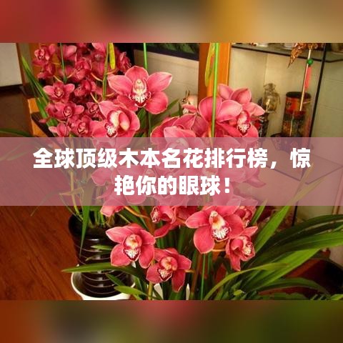 全球顶级木本名花排行榜，惊艳你的眼球！