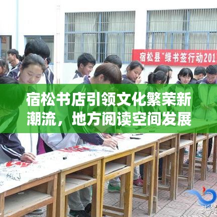 宿松书店引领文化繁荣新潮流，地方阅读空间发展动态重磅报道