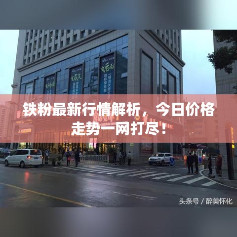 铁粉最新行情解析，今日价格走势一网打尽！