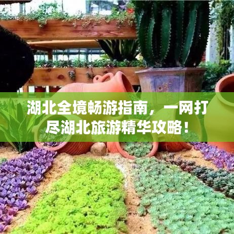 湖北全境畅游指南,一网打尽湖北旅游精华攻略!